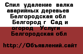 Спил, удаление, валка, аварийных деревьев - Белгородская обл., Белгород г. Сад и огород » Услуги   . Белгородская обл.